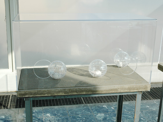 Intellligent Design Intellligent Design