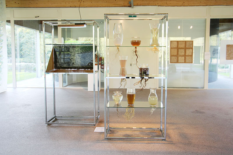 Radix Morgana (small version 60 x 100 x 200 cm), location: Glass House Amstel park, Amsterdam Radix Morgana (small version 60 x 100 x 200 cm), location: Glass House Amstel park, Amsterdam